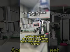 PLC-besturing Vacuum Thermoforming Machine voor afbreekbare materialen Maximale vormdiepte 180mm