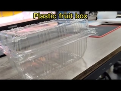 Plastic Fruit Box Mould voor positieve en negatieve druk Vier stations Machine