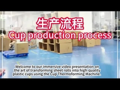 PLC Plastic Thermoforming Machine met 750*500mm vormgebied