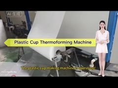 Volledig automatische Plastic Theekop Thermoforming Machine
