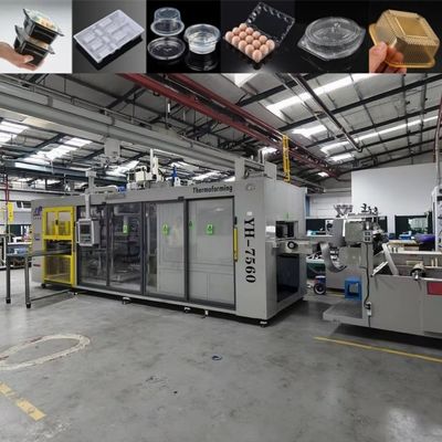 Makkelijk te bedienen en te onderhouden vacuümvormende machines van kunststof