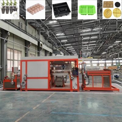 Volledig automatische vacuümvormende machines van kunststof