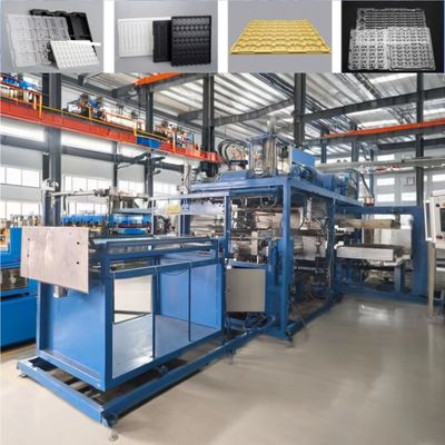 Seedling Tray Plastic Thermoforming Machine Processing Type Plastic Vacuum Forming Machine