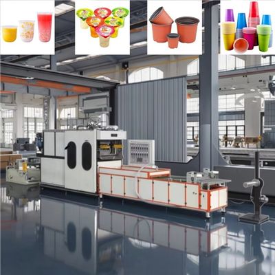 Volledig automatische plastic bekertjesvormmachine