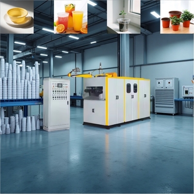 Lage prijs Hoge kwaliteit plastic beker thermoformmachine